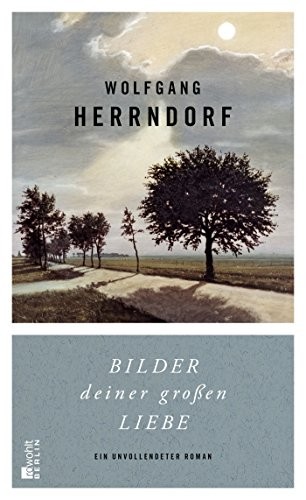 Wolfgang Herrndorf: Bilder Deiner Großen Liebe (Hardcover, 2014, Rowohlt Berlin)