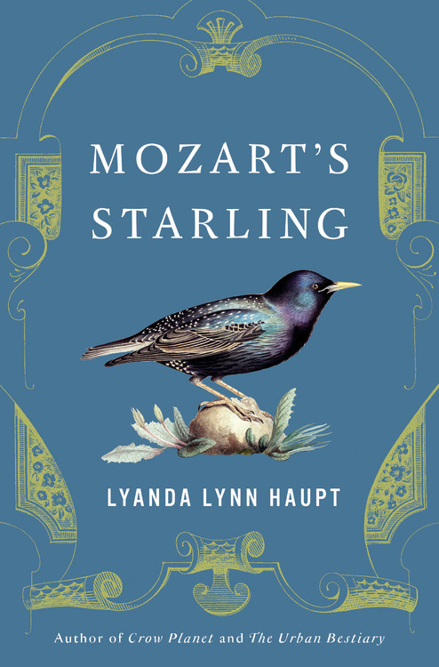 Lyanda Lynn Haupt: Mozart's Starling (2018, Little Brown & Company)