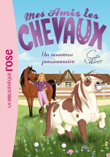 Natacha Godeau: Mes amis les chevaux 01 - Un nouveau pensionnaire (Paperback, 2013, HACHETTE JEUN., HACHETTE JEUNESSE)