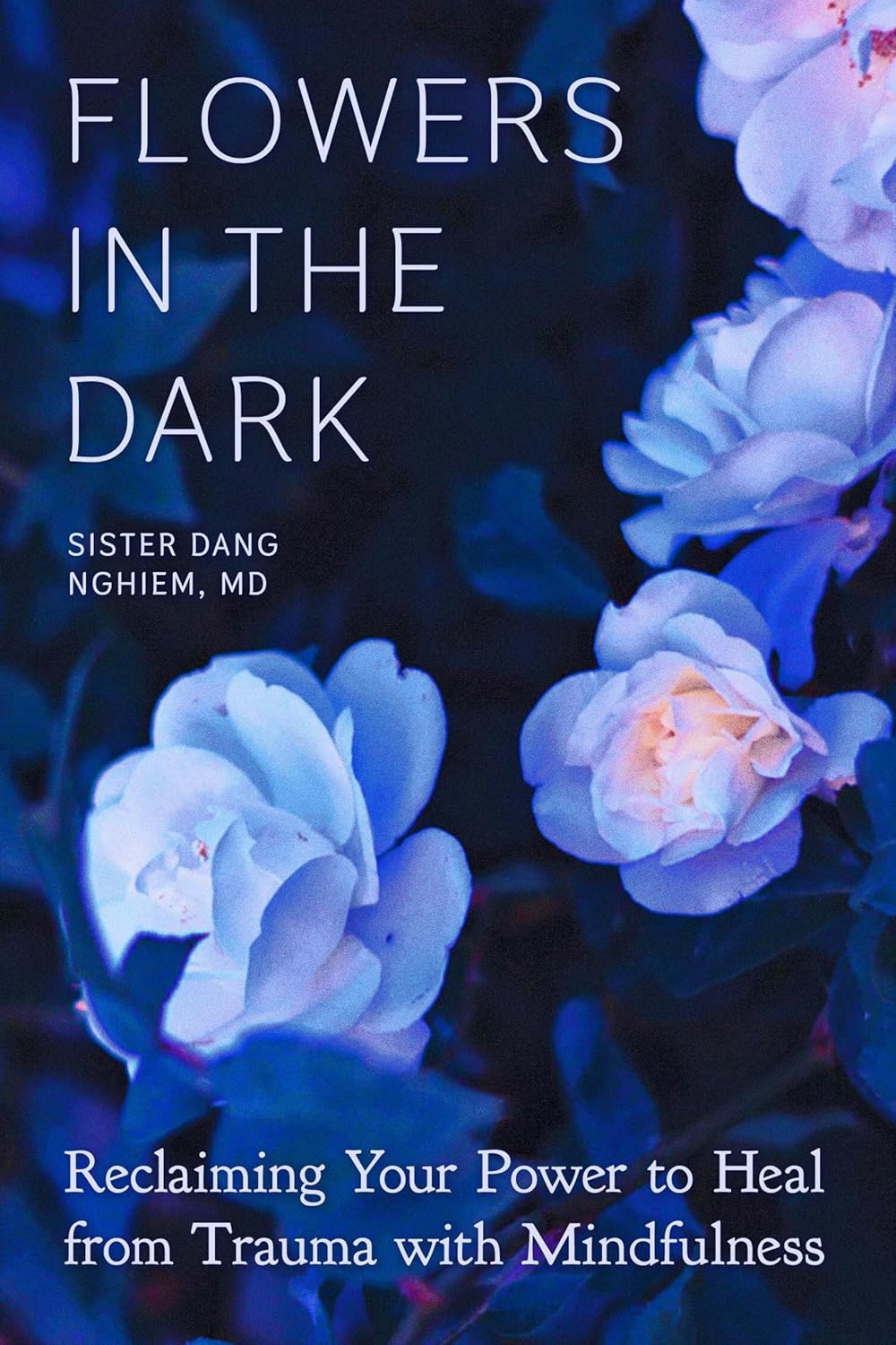 Sister Dang Nghiem: Flowers in the Dark (Paperback, 2021, Parallax Press)